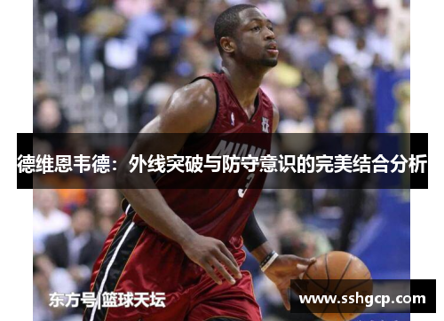 德维恩韦德：外线突破与防守意识的完美结合分析
