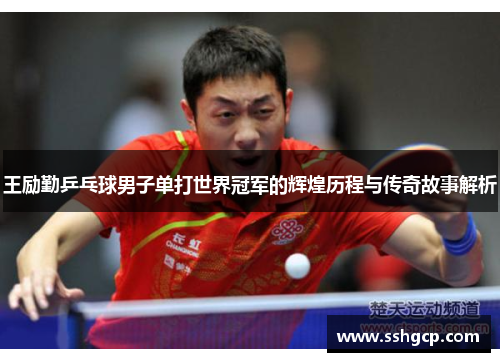 王励勤乒乓球男子单打世界冠军的辉煌历程与传奇故事解析