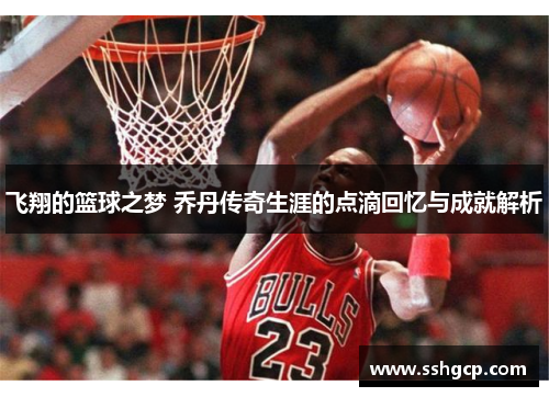 飞翔的篮球之梦 乔丹传奇生涯的点滴回忆与成就解析