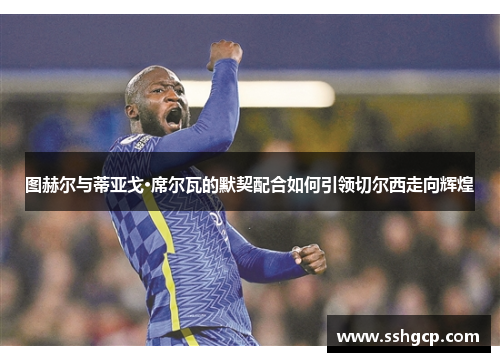 图赫尔与蒂亚戈·席尔瓦的默契配合如何引领切尔西走向辉煌