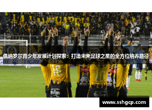 佩纳罗尔青少年发展计划探索：打造未来足球之星的全方位培养路径