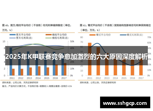 2025年K甲联赛竞争愈加激烈的六大原因深度解析