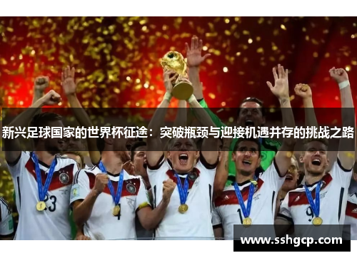 新兴足球国家的世界杯征途：突破瓶颈与迎接机遇并存的挑战之路