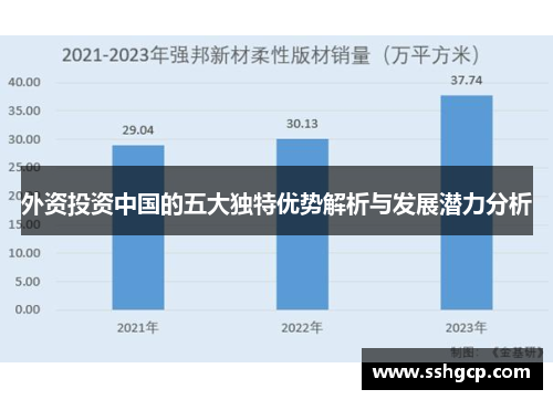 外资投资中国的五大独特优势解析与发展潜力分析