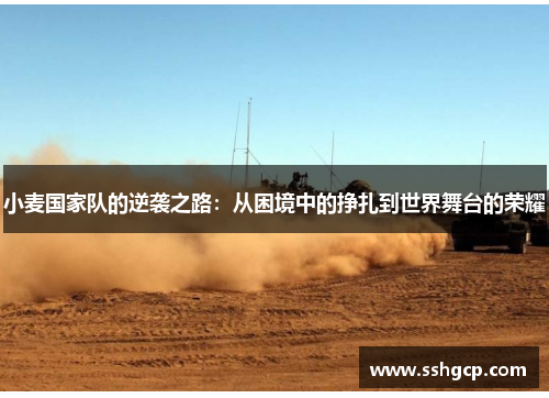 小麦国家队的逆袭之路：从困境中的挣扎到世界舞台的荣耀