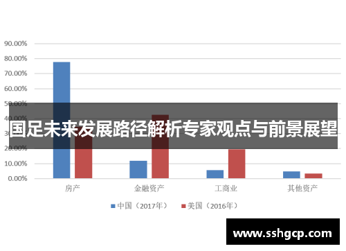 国足未来发展路径解析专家观点与前景展望