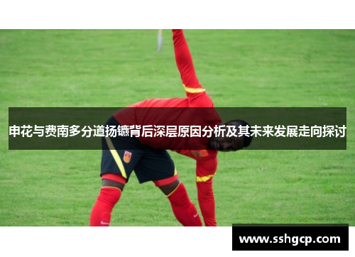 申花与费南多分道扬镳背后深层原因分析及其未来发展走向探讨