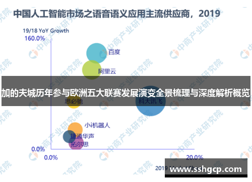 加的夫城历年参与欧洲五大联赛发展演变全景梳理与深度解析概览 加的夫城历年参与欧洲五大联赛发展演变全景梳理与深度解析概览