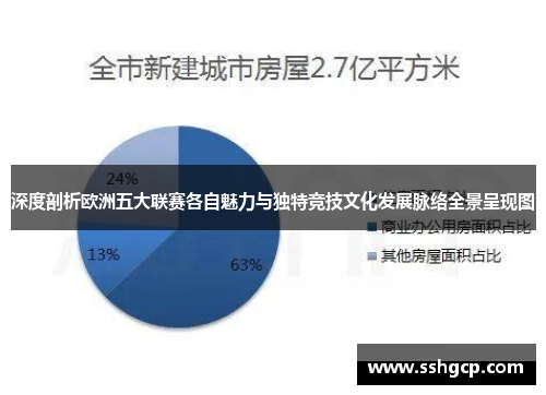 深度剖析欧洲五大联赛各自魅力与独特竞技文化发展脉络全景呈现图 深度剖析欧洲五大联赛各自魅力与独特竞技文化发展脉络全景呈现图