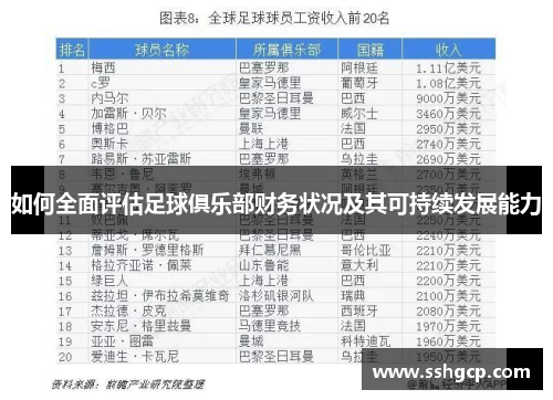 如何全面评估足球俱乐部财务状况及其可持续发展能力